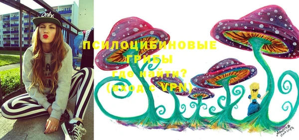 бутират Алзамай