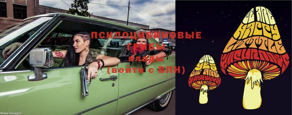 твердый Алексеевка