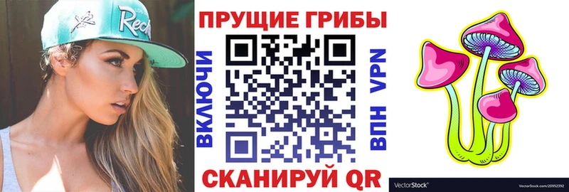 где продают наркотики  Жуков  Галлюциногенные грибы MAGIC MUSHROOMS 