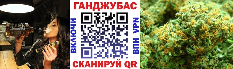 Шишки марихуана тримм кракен зеркало Жуков купить наркотики сайты